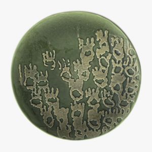 « CHARDON 3D Ø 21 cm »